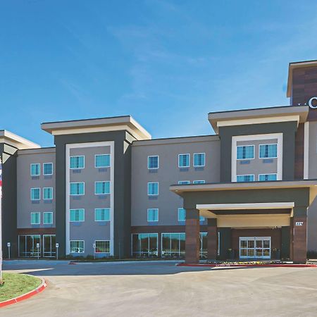 La Quinta By Wyndham Dallas - Wylie Eksteriør bilde